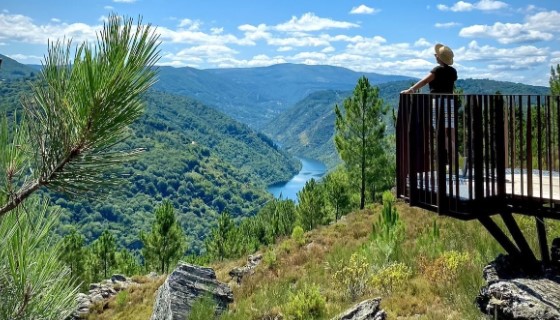 Mirador Cerca de Mí