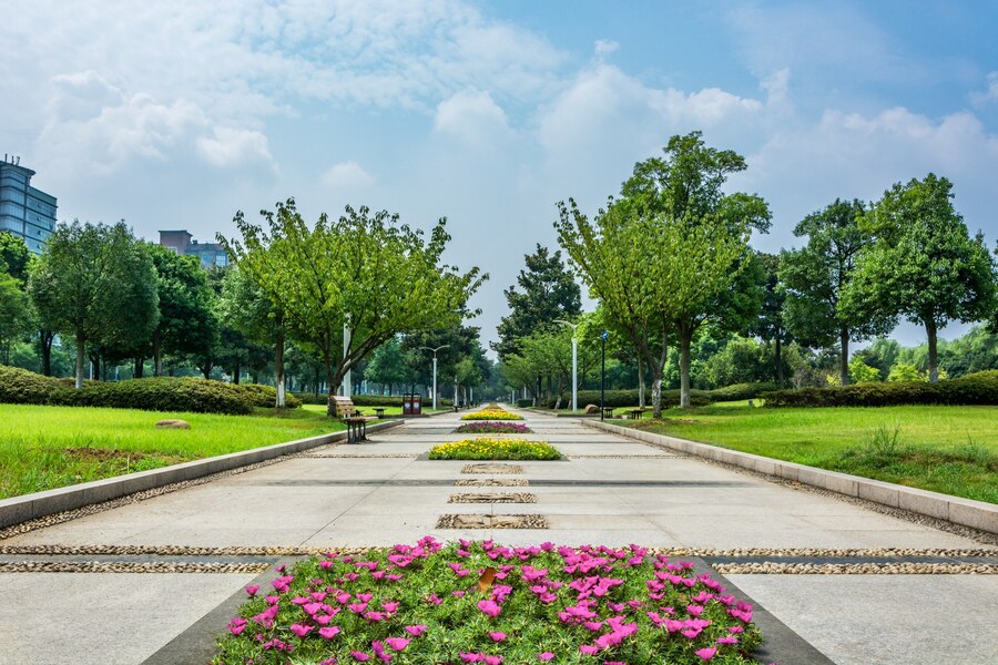 Parque Cerca de Mí: Cómo Encontrar el Mejor Espacio Verde en Tu Ciudad